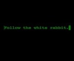 Follow the white rabbit